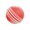 cricket ball
